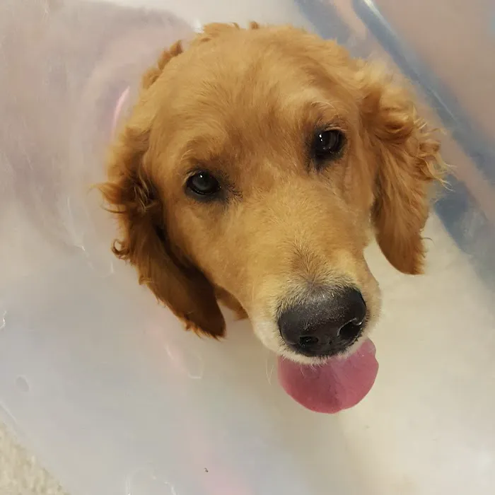 Banfield Pet Hospital Picture 10