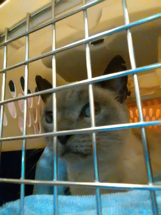 Banfield Pet Hospital Picture 2