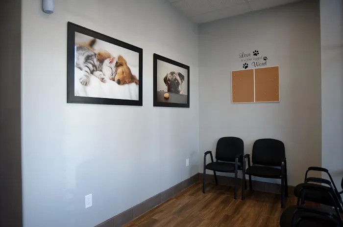Eastvale Veterinary Hospital Picture 2