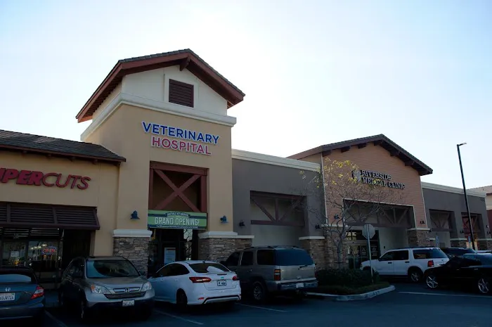 Eastvale Veterinary Hospital Picture 3