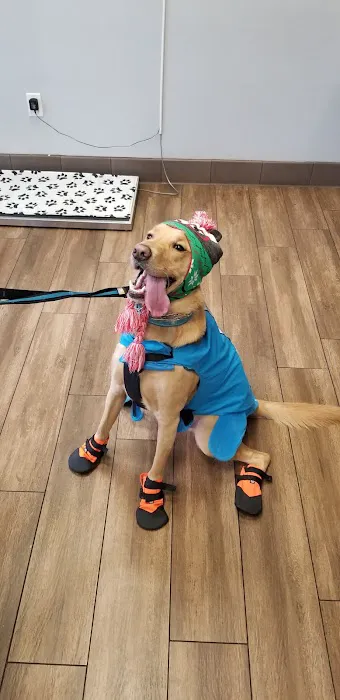 Eastvale Veterinary Hospital Picture 6
