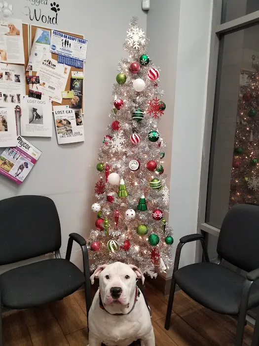 Eastvale Veterinary Hospital Picture 9
