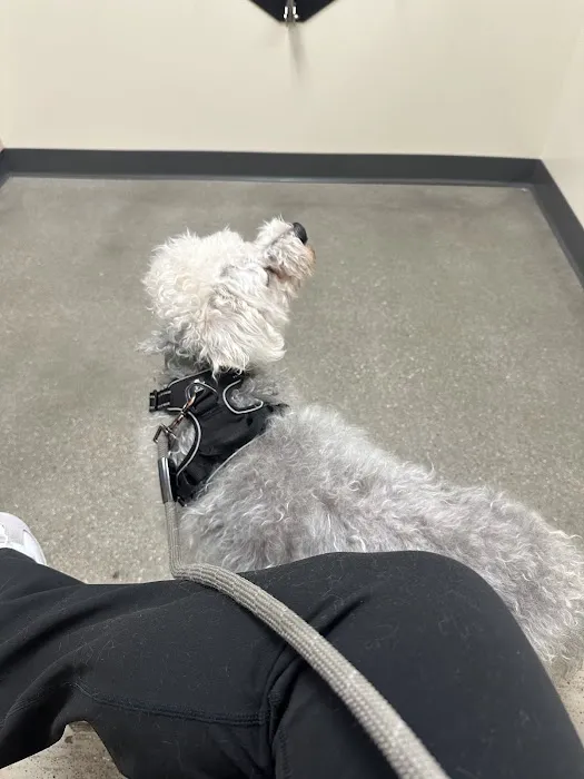 Vetco Total Care Animal Hospital Picture 5