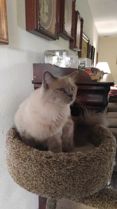Ragnarok Cattery Picture 1