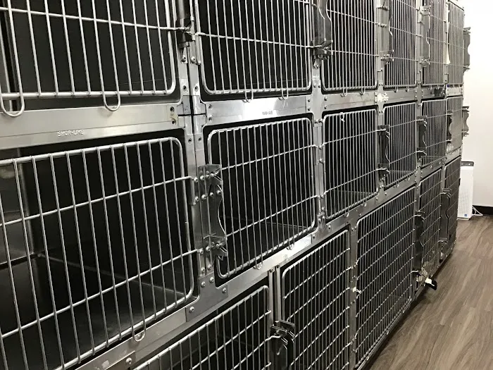 Mira Loma Animal Hospital Picture 3