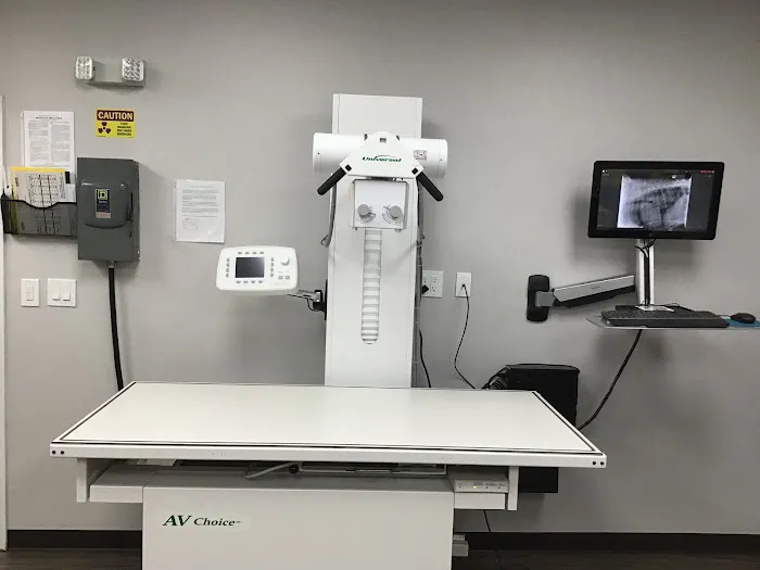 Mira Loma Animal Hospital Picture 10