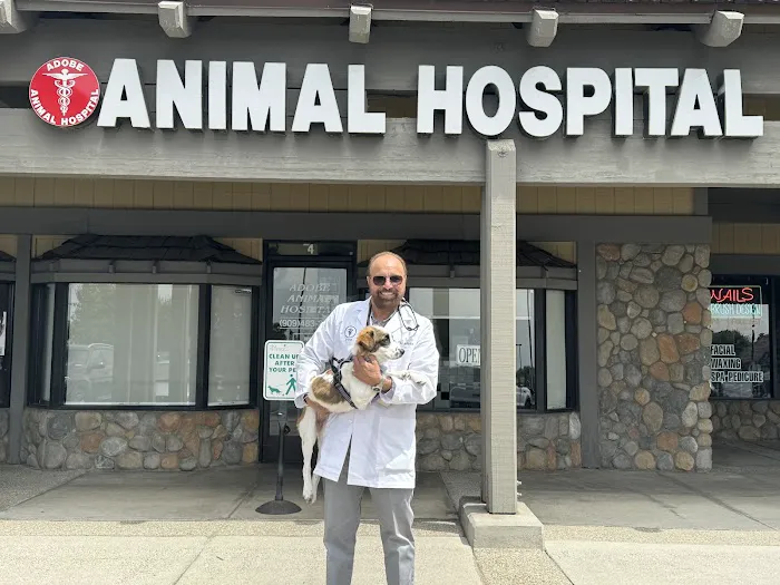 Adobe Animal Hospital Picture 2
