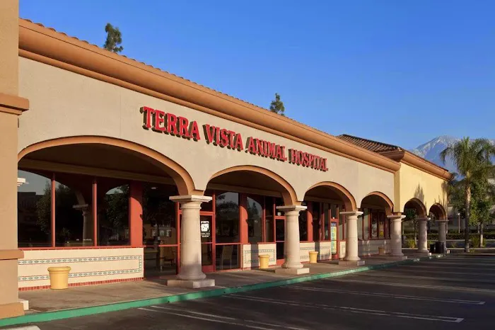 Terra Vista Animal Hospital Picture 8