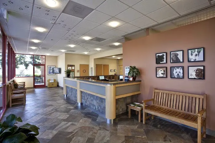 Terra Vista Animal Hospital Picture 10