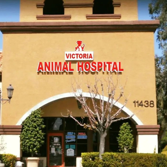 Victoria Animal Hospital Picture 10