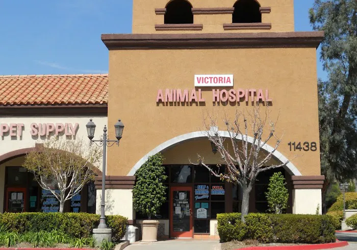 Victoria Animal Hospital Picture 9