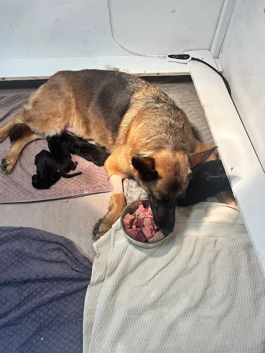 Grayson County Animal Emergency Clinic Picture 9