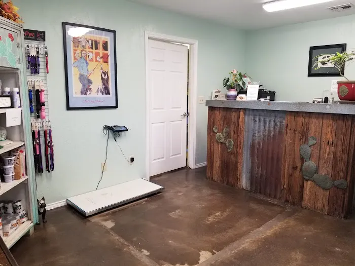 Cactus Vet Clinic Picture 5