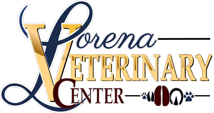 Lorena Veterinary Center Picture 2