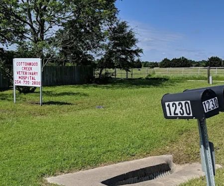 Cottonwood Creek Veterinary Hospital