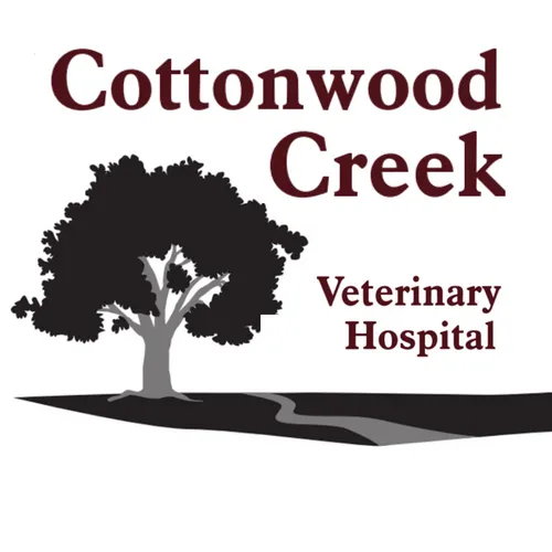 Cottonwood Creek Veterinary Hospital Picture 7