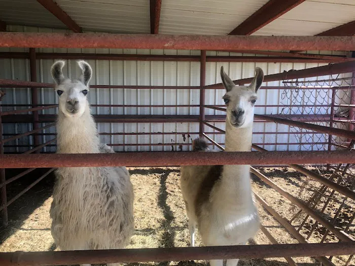 Mexia Veterinary Clinic Picture 6