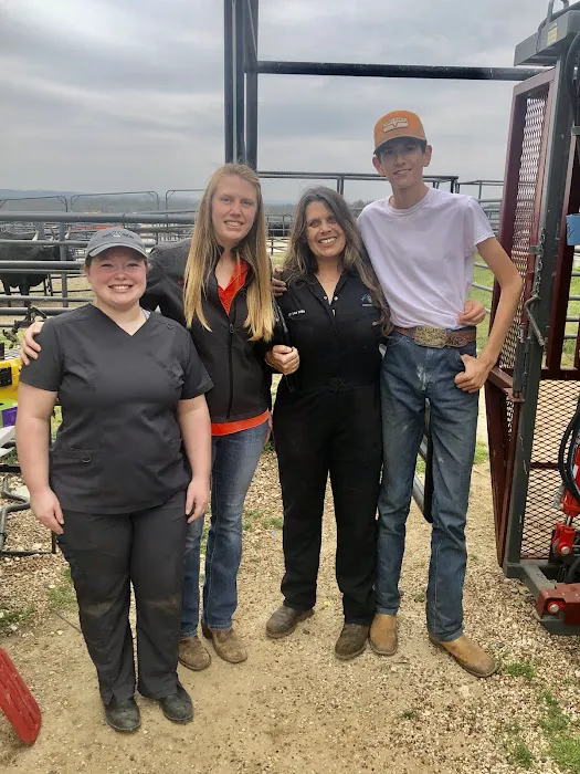 Mid-Texas Veterinary Associates, PC Picture 1