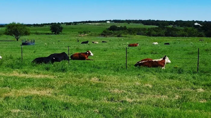 Texas West Animal Health Picture 3
