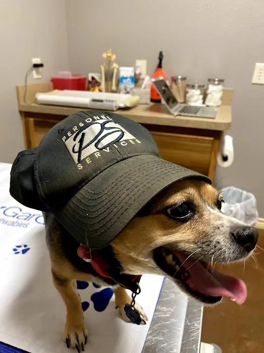 Texas West Animal Health Picture 6