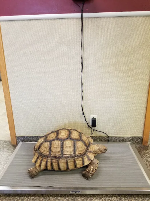 Animal Hospital of Denison Picture 6