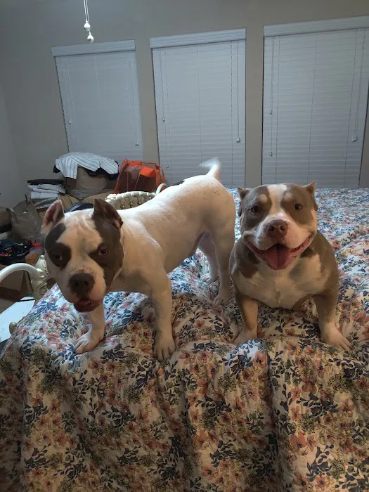 Ferguson Animal Health Picture 2