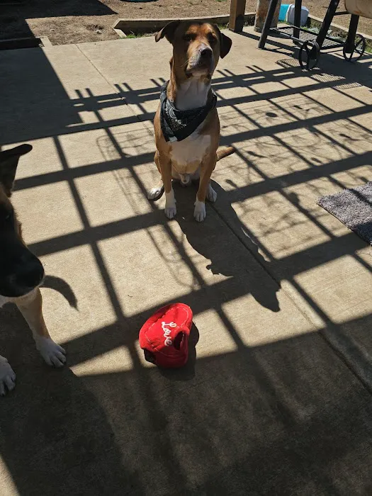 Ferguson Animal Health Picture 6