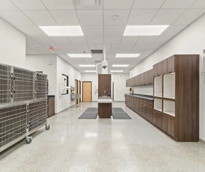 Mt. Pleasant Animal Clinic Picture 3