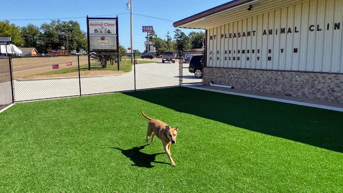 Mt. Pleasant Animal Clinic Picture 9