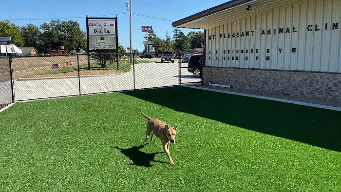 Mt. Pleasant Animal Clinic Picture 10