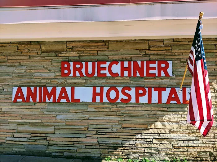 Bruechner Animal Hospital Picture 1