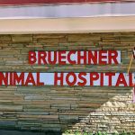 Bruechner Animal Hospital