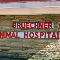 Bruechner Animal Hospital ico