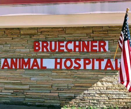 Bruechner Animal Hospital