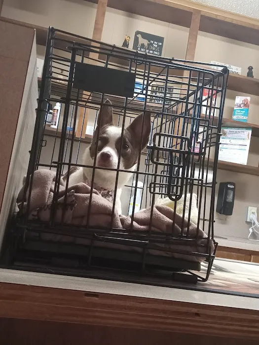 Bruechner Animal Hospital Picture 6