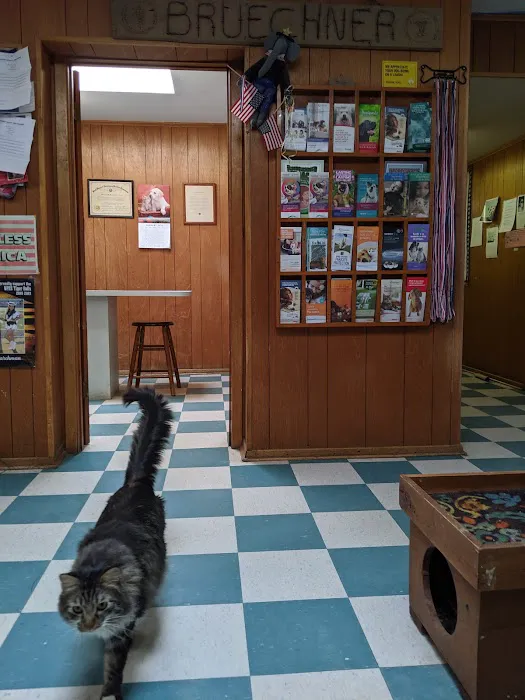 Bruechner Animal Hospital Picture 7