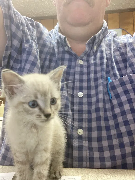 Daingerfield Veterinary Hospital Picture 5