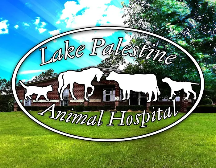 Lake Palestine Animal Hospital Picture 4