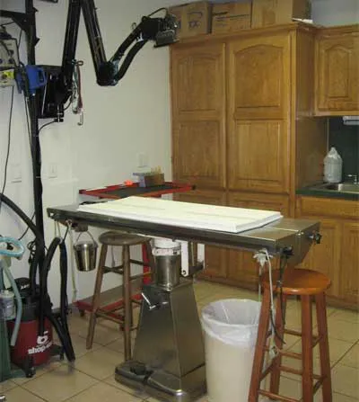 Lake Palestine Animal Hospital Picture 9