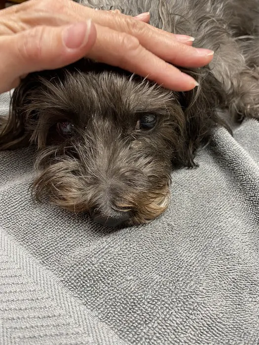 Lake Palestine Animal Hospital Picture 6