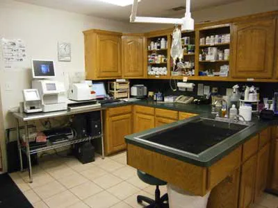 Lake Palestine Animal Hospital Picture 7