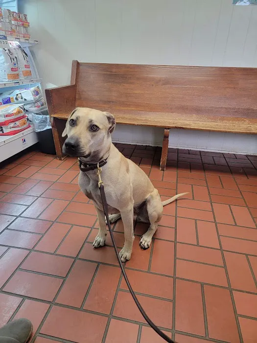 Southwest Hills Veterinary Picture 3