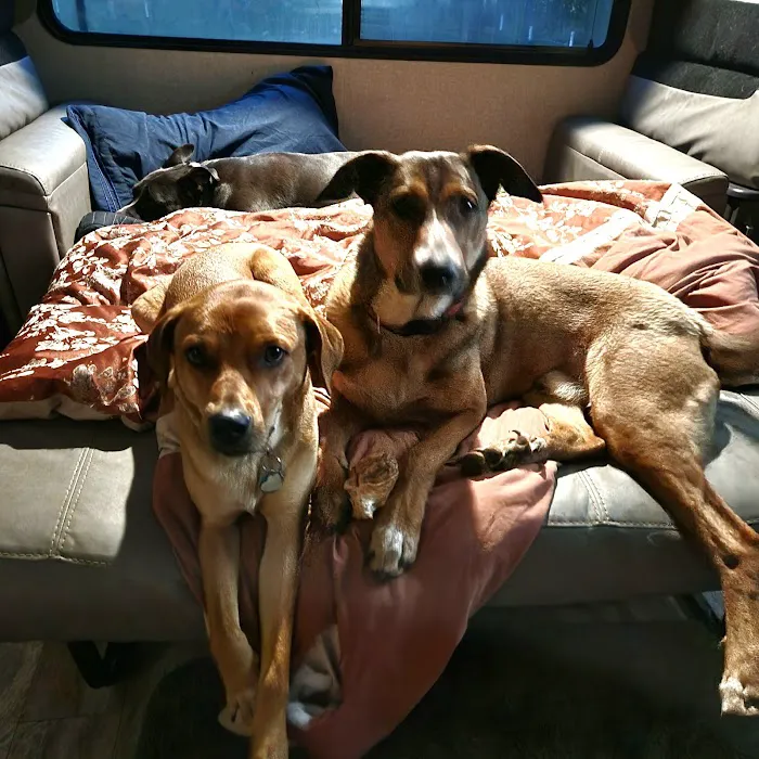 Southwest Hills Veterinary Picture 5