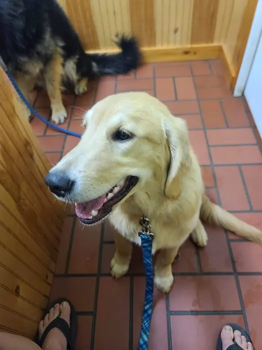 Southwest Hills Veterinary Picture 7