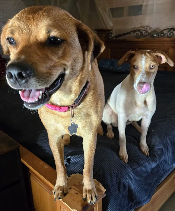Southwest Hills Veterinary Picture 9