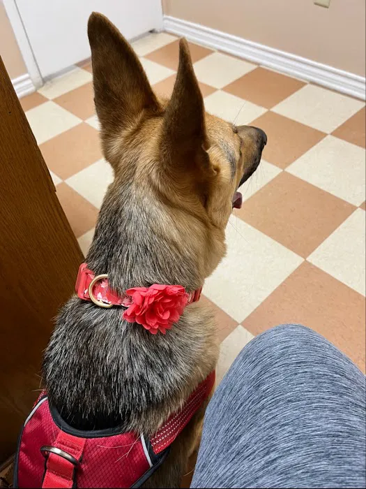 Whitehouse Veterinary Hospital Picture 3