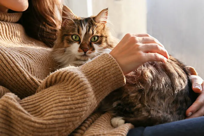 Azalea Animal Hospital Picture 1