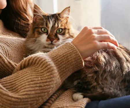 Azalea Animal Hospital