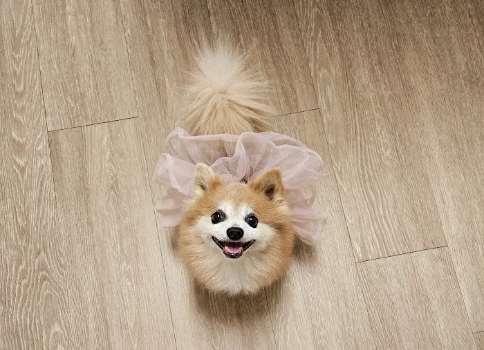 Azalea Animal Hospital Picture 3