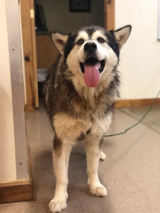 Brookhollow Veterinary Clinic Picture 4
